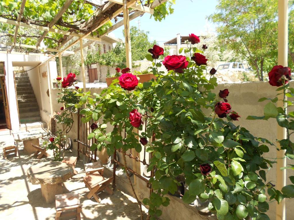 Valleypark Hotel Nevşehir Extérieur photo